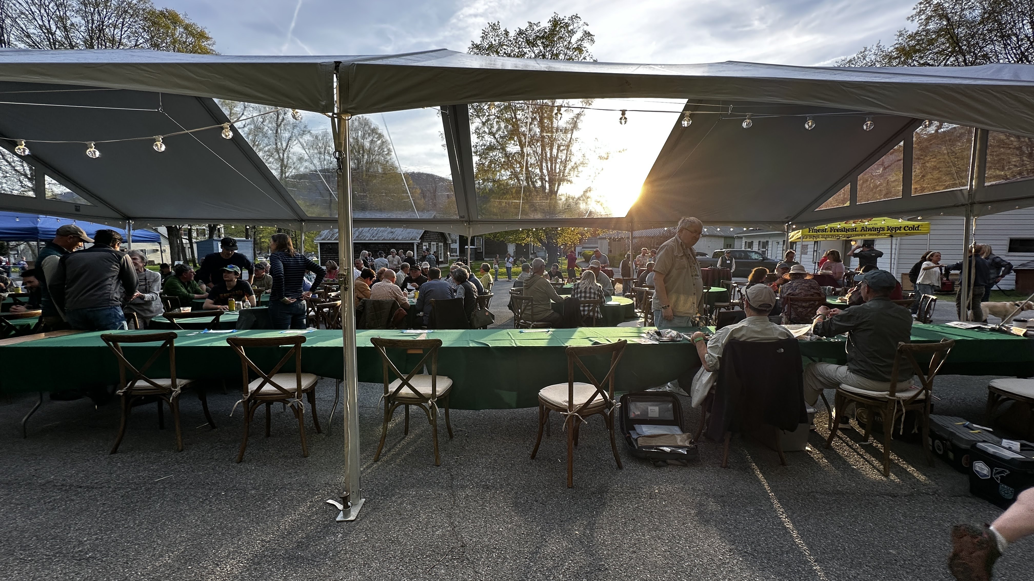 Gallery image from arlington